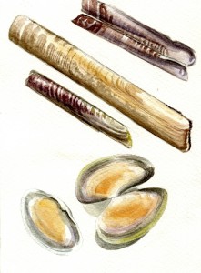 Una passeggiata sulla spiaggia