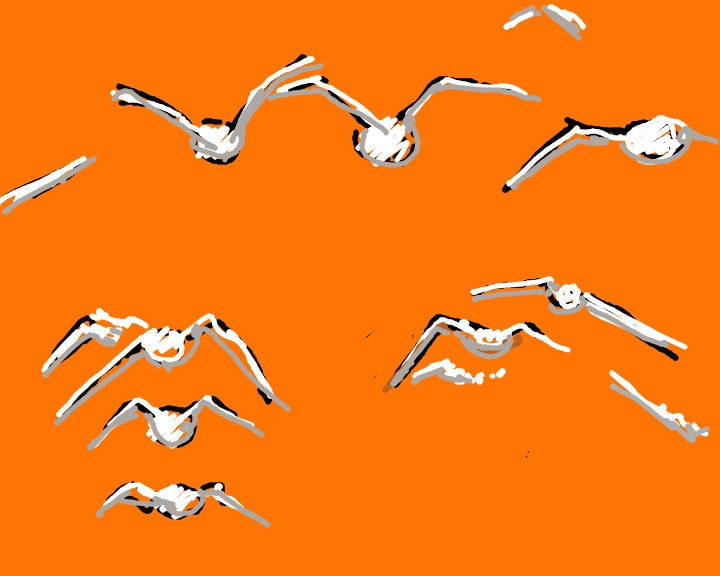 Fra terra e acqua, il mondo della palude a GEO Rai 3