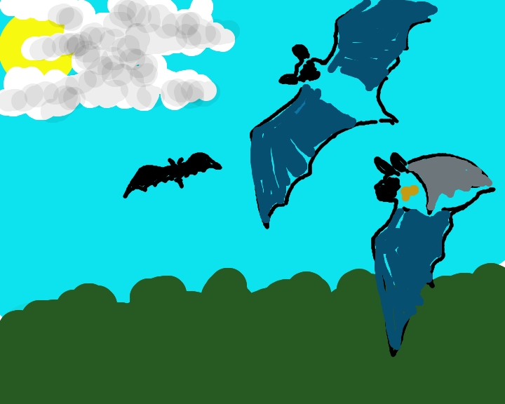 Una grotta per tutti, Stiffe (AQ)