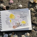 Nell'Oasi Lipu di Cà Roman a Chioggia, con Francesco Petretti