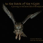 Dedicato al gufo reale