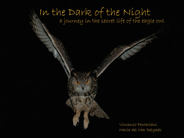 Dedicato al gufo reale