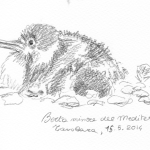 Le berte di Tavolara, Geo Rai 3