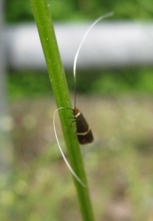 Invia una foto e ti dirò chi è