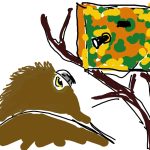 Come diventare etologo