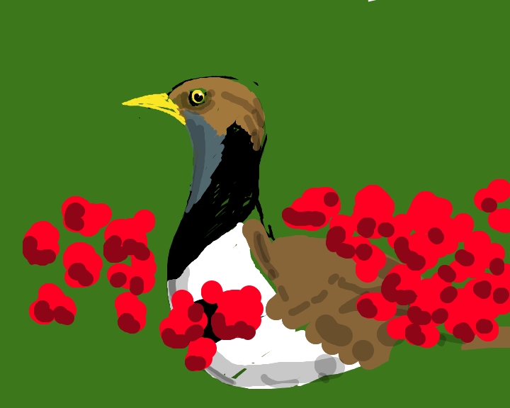 Un libro dedicato a Helmas Schenk