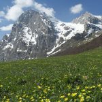 Incontro con il lupo sul Gran Sasso