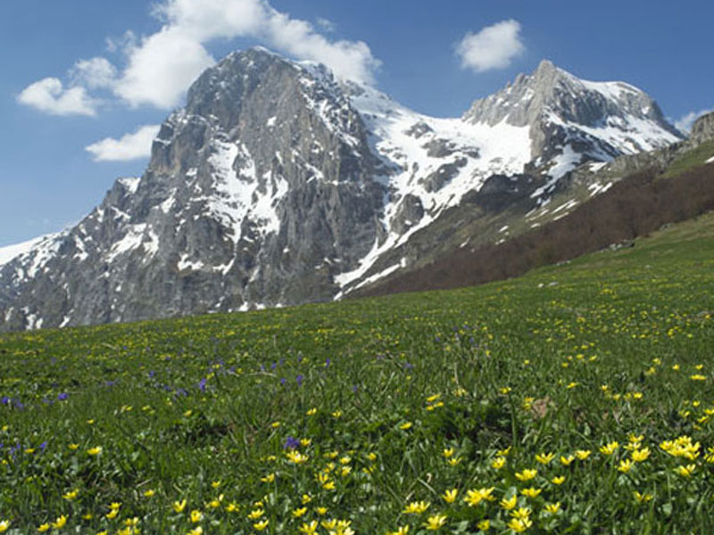 Incontro con il lupo sul Gran Sasso