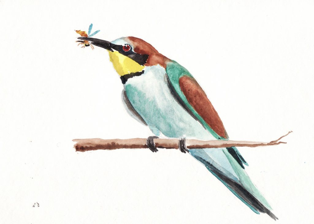 La pioggia (e la neve) di natale