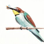 La pioggia (e la neve) di natale